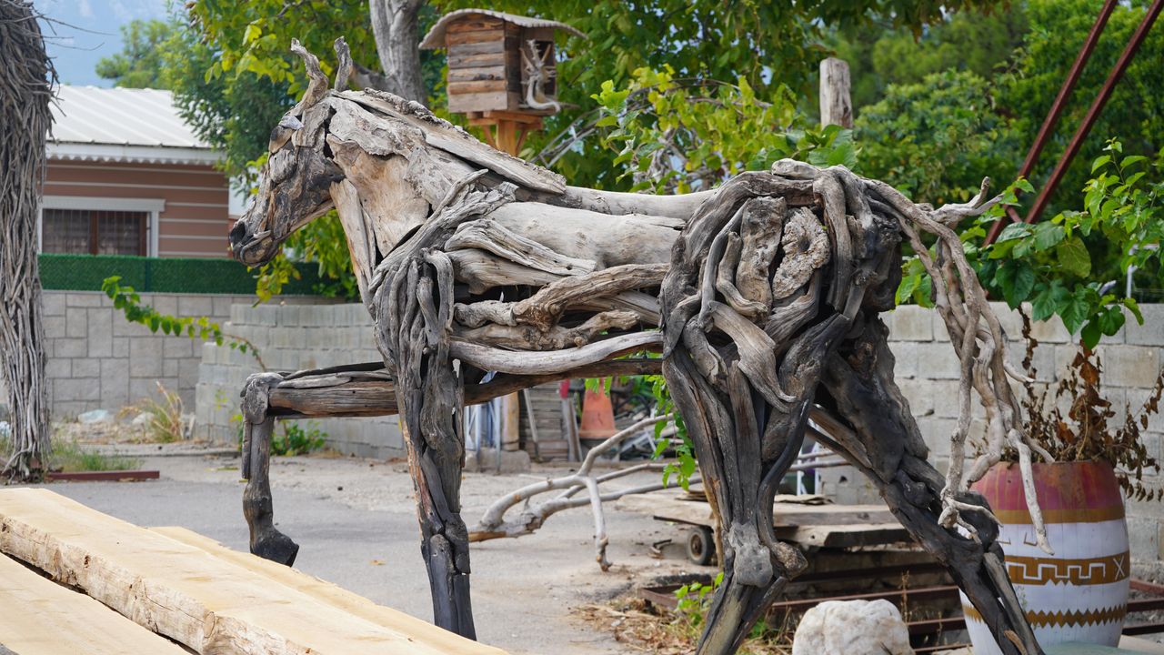 Antalyalı sanatçı Osman Dönmez atık ağaçlara hayat veriyor