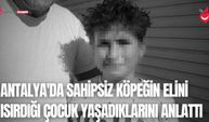 Antalya'da Sahipsiz Köpeğin Elini Isırdığı Çocuk Yaşadıklarını Anlattı