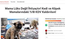 Kedi - Köpek Mamalarından KDV Kaldırılsın