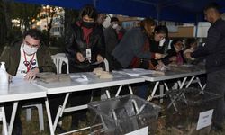 Kırcami'de İmar Referandumu Yapıldı