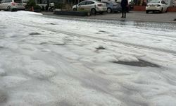 Bodrum'da Merak Uyandıran Beyaz Köpüğün Nedeni Belli Oldu