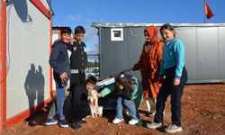 Köpek Yavrusu "Kırağ", Konteyner Kentteki Çocukların Maskotu Oldu
