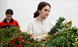 İngiltere'nin "Anneler Günü" İçin Çiçek Siparişleri Arttı