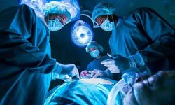 Akdeniz'de 6 bin 772 organ nakli yapıldı