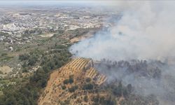 Hatay'da Ormanlık Alanda Yangın Çıktı