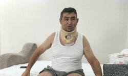 Manavgatlı çiftçi: Aslanı öldürmeselerdi iyi olurdu