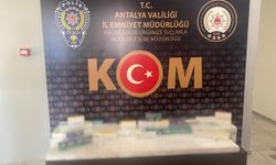 Antalya’da kaçakçılık operasyonlarında 2 kişi tutuklandı
