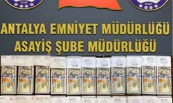 10 milyonluk dolandırıcılık girişimi son anda önlendi