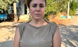 Boşaltılan evden hasta 5 kedi daha kurtarıldı