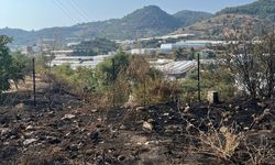 Alanya’da otluk alanda çıkan yangın söndürüldü
