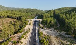 Antalya’da ekolojik köprü yaban hayatını koruyor