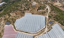 Antalya’da tropikal bahçelere kurulan GES tasarruf sağladı