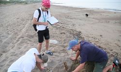 Belek’te caretta sezonu başladı: 5 bini aşkın yavru denize ulaştı