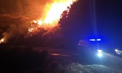 İspanya’da 40’tan fazla noktada yangın sürüyor