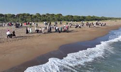 Kumköy Sahili çöplerden arındırıldı