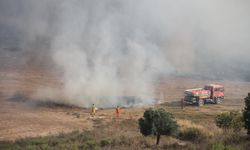 Antalya Serik’te anız yangını zeytinliklere sıçradı