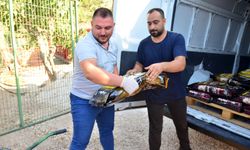 Kumluca’da ödül barınaktaki hayvanlara bağışlandı