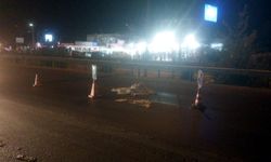 Manavgat'ta Kaza 2 Kişi Hayatını Kaybetti