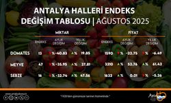 Ağustos 2025’te Antalya hal endeksi açıklandı