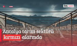 Antalya tarım sektörü kırmızı alarmda