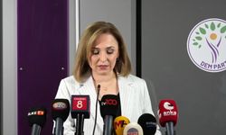 DEM Parti’li Doğan: Komisyonun yol haritası belirsiz