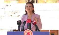 DEM Parti’li Koçyiğit: Komisyon hemen İmralı’ya gitmeli