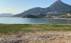 Eğirdir Gölü’nde sazlıkların kesilmesine tepki