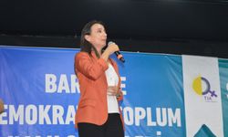 Hatimoğulları: Öcalan ile acilen görüşülmeli