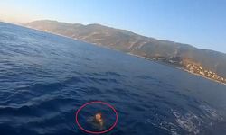 Kaş’ta yüzerek Yunan adasına geçmeye çalışan kişi yakalandı