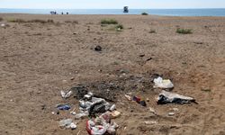 Kumköy sahilinde caretta yuvalarında çöp kirliliği