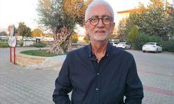 Manavgat’ta 2 bin 200 yıllık zeytin ağacında ilk hasat yapıldı