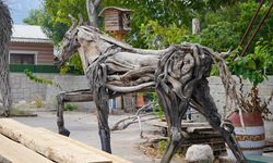 Antalyalı sanatçı Osman Dönmez atık ağaçlara hayat veriyor