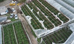 Antalya’da sağanak ve rüzgar seralarda hasara yol açtı