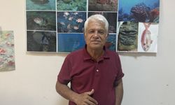 Meis Adası’nda yavru Akdeniz foku görüntülendi