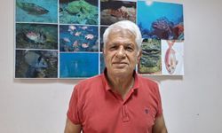 Prof. Gökoğlu: Akdeniz ağır ağır tropikalleşiyor