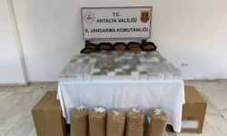 Serik’te 27 bin 500 kaçak makaron ele geçirildi