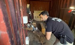 Antalya’da narkotik köpeklerine oyun temelli özel eğitim