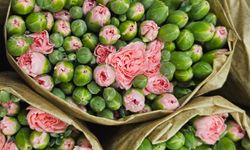 Kesme çiçekte yılbaşı ihracatı 12 milyon dolara çıkıyor