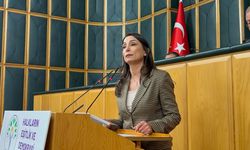 DEM Parti, İmralı’ya komisyon çağrısını yineledi