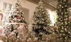 Yılbaşı ağaçlarında kendinden süslü ve LED’li modeller öne çıkıyor