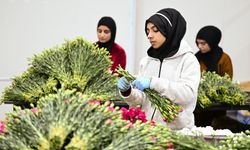 Türkiye’den yılbaşı için 35 ülkeye çiçek ihracatı