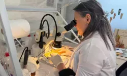 Konservasyon laboratuvarlarında 251 binden fazla eser korundu