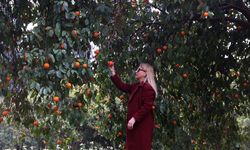 BATEM’deki Turunç Yolu fotoğraf tutkunlarını çekiyor