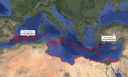 Caretta caretta Gümüş, 1,5 yılda 24 bin km yol aldı