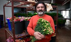 Süs bitkileri ihracatında hedef 180 milyon dolar