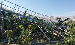 TZOB Başkanı Bayraktar Manavgat’ta afet zararını inceledi