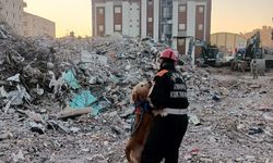 JAK köpeği Ocak, 8 yılda 48 can kurtardı