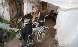 Muşambayla çevrili alanda yaşam mücadelesi veren engelli, hastaneye yatırıldı