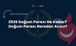 2026 Doğum Parası Ne Kadar? Doğum Parası Nereden Alınır?