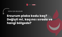 Erzurum plaka kodu kaç? Değişti mi, kaçıncı sırada ve hangi bölgede?